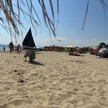 アパート Complex Compass *