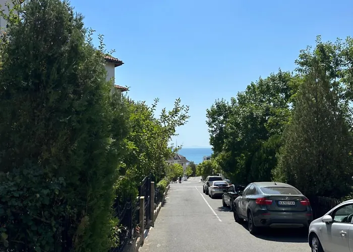 Complex Compass * Szveti Vlasz